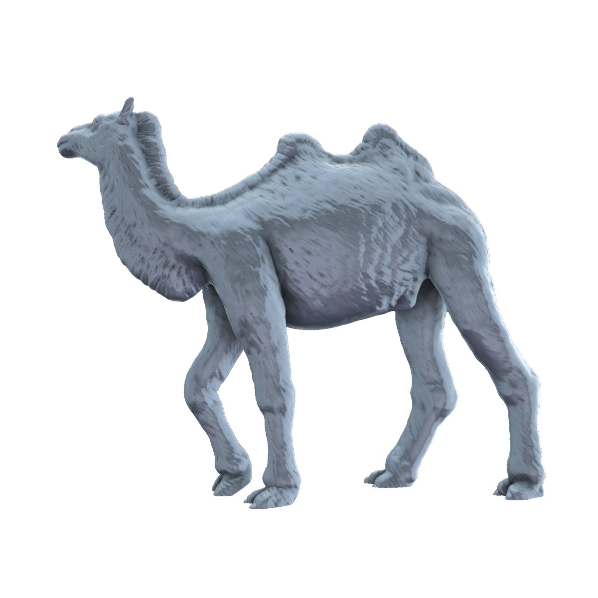 3D printed Bactrian camel walking side view