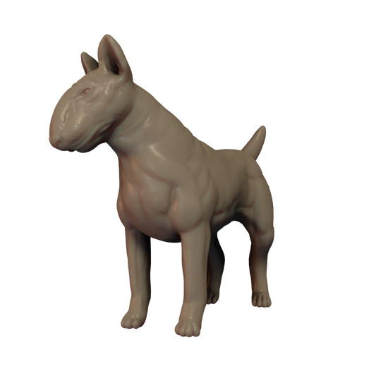 Bull Terrier Pose 1