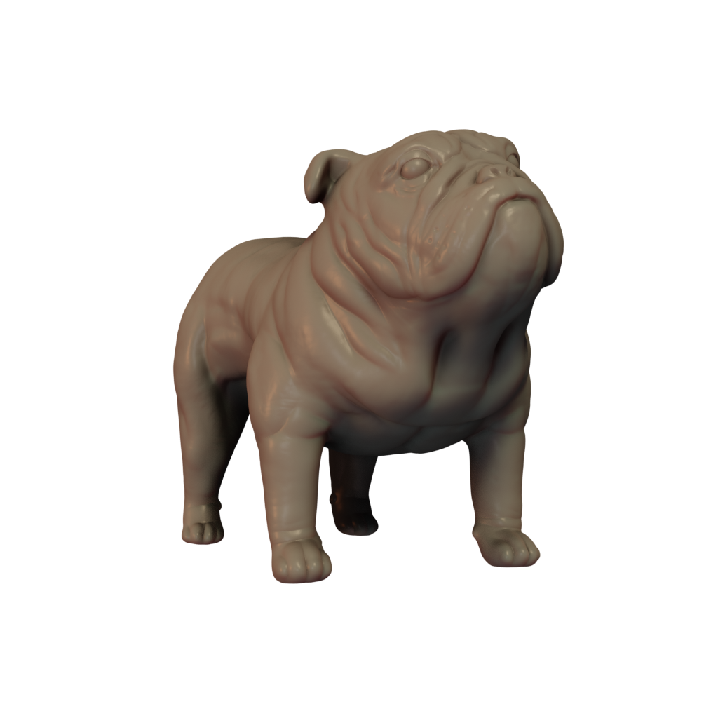Bulldog Pose 1