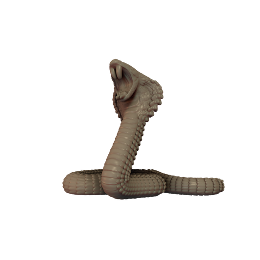 Cobra Pose 1