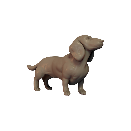 Dachshund Pose 1