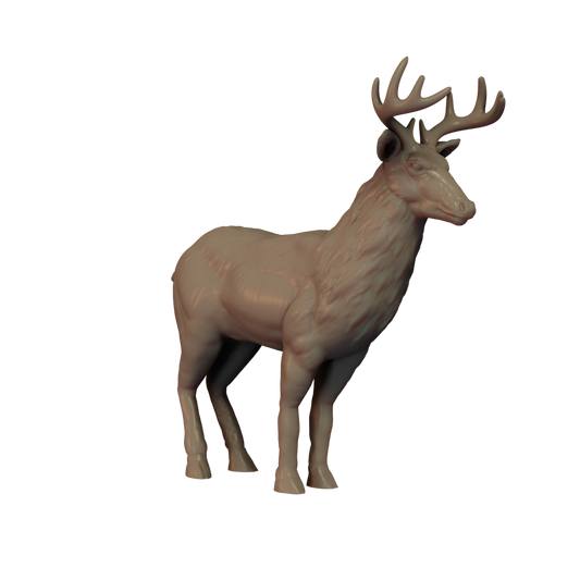 Deer Pose 2