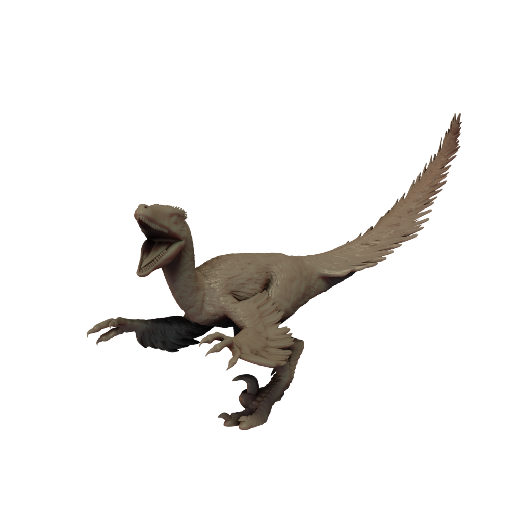 Deinonychus Feathered