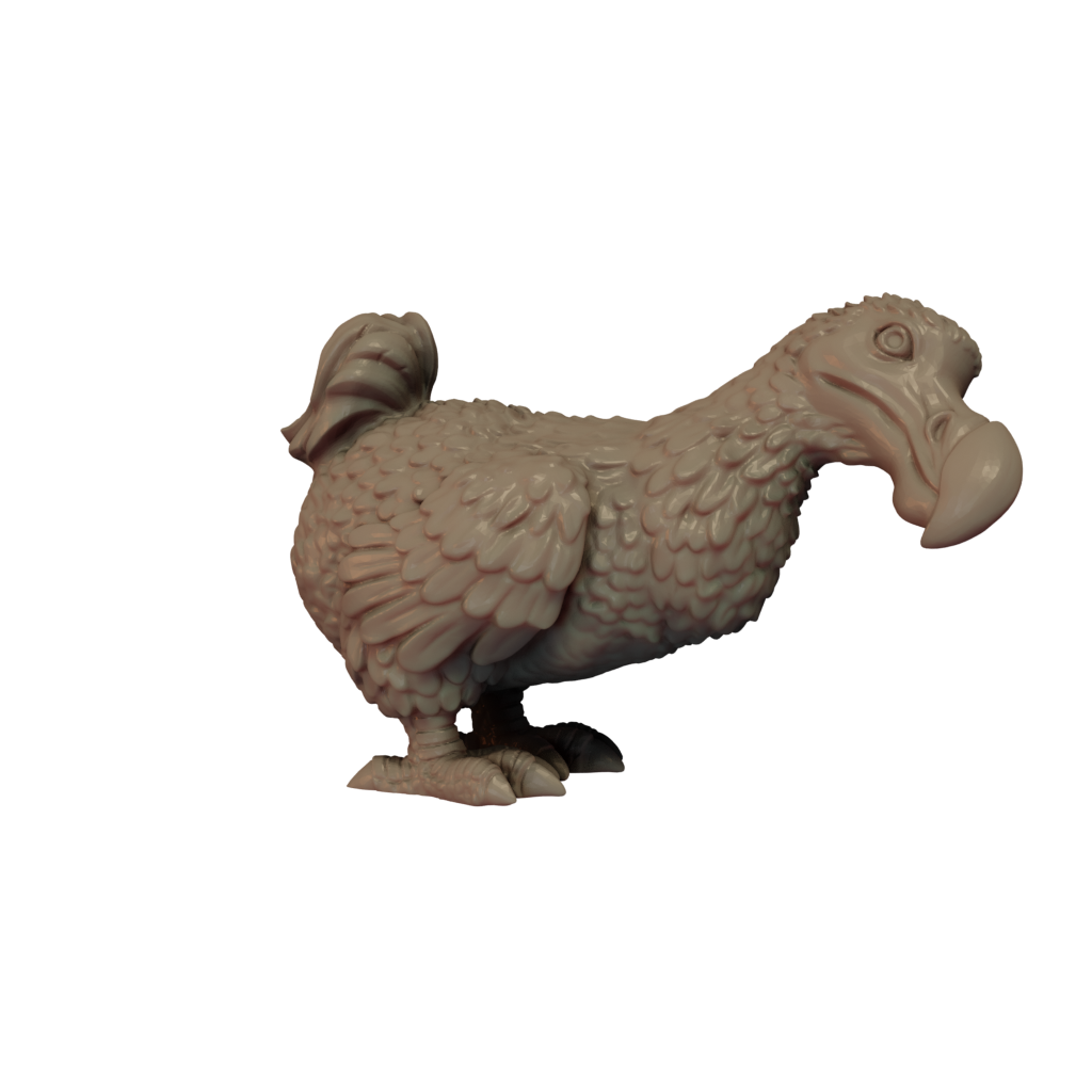 3D printed Dodo Looking side view