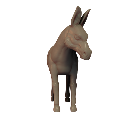 Donkey Pose 1