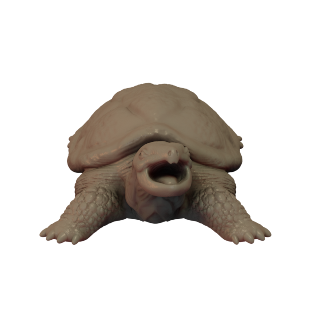 3D Printed Galapagos Tortoise front view