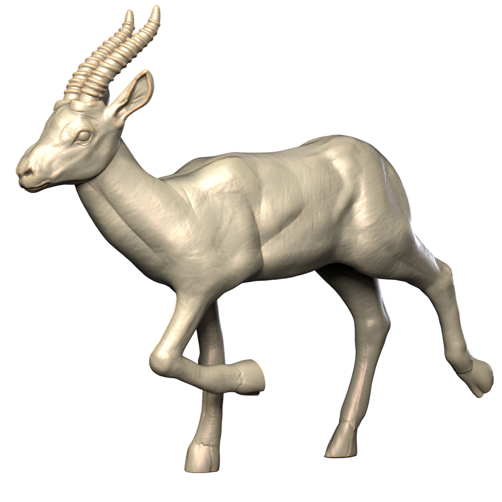 Gazelle 3D print side view