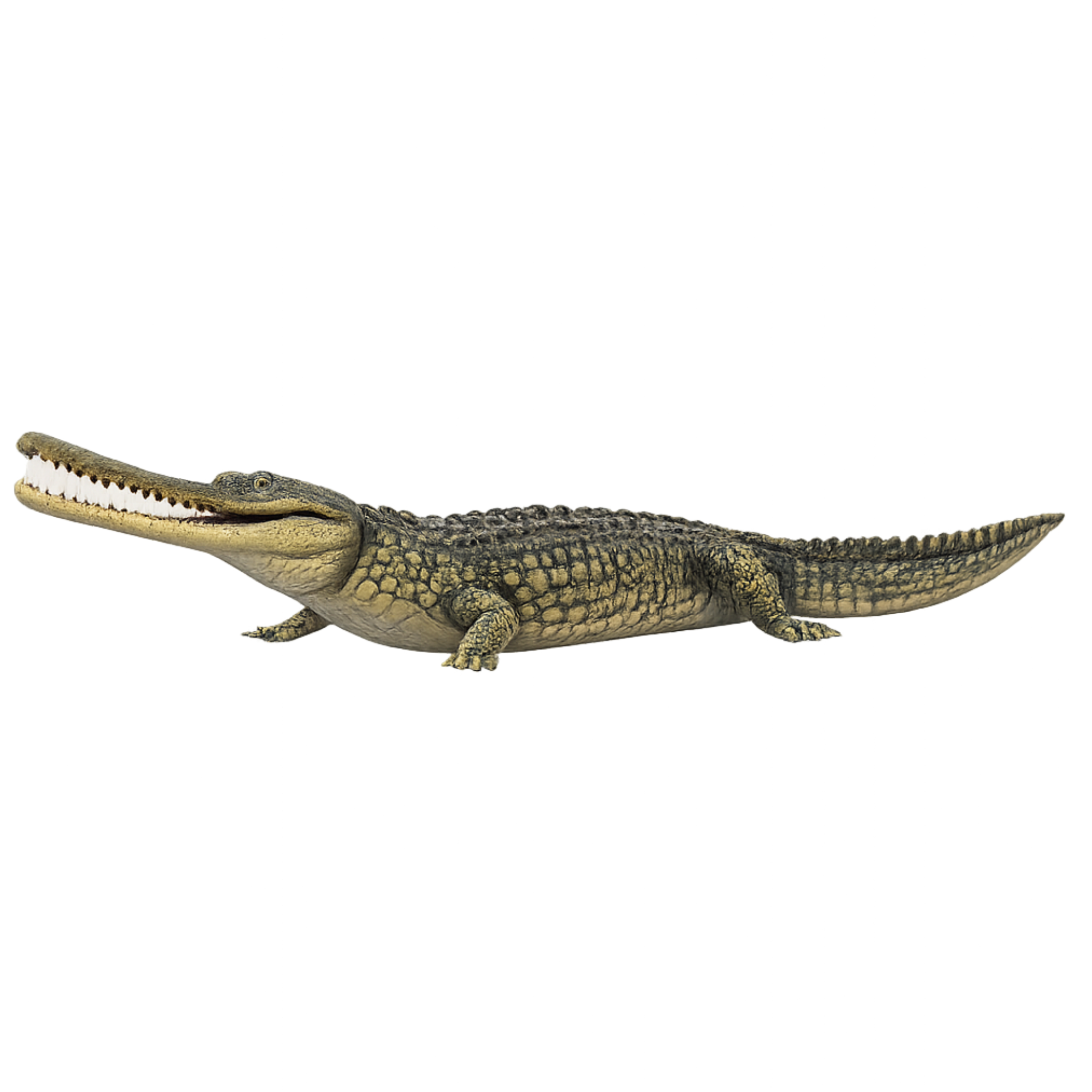 Painted Gharial Crocodile miniature