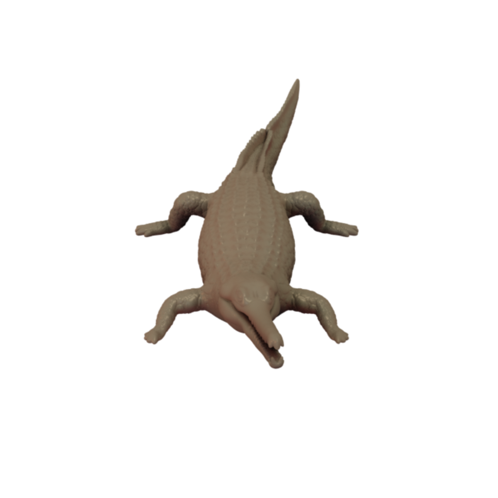 Gharial Crocodile 3D Print front view