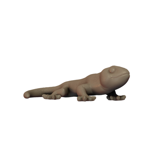 Giant Salamander Pose 1