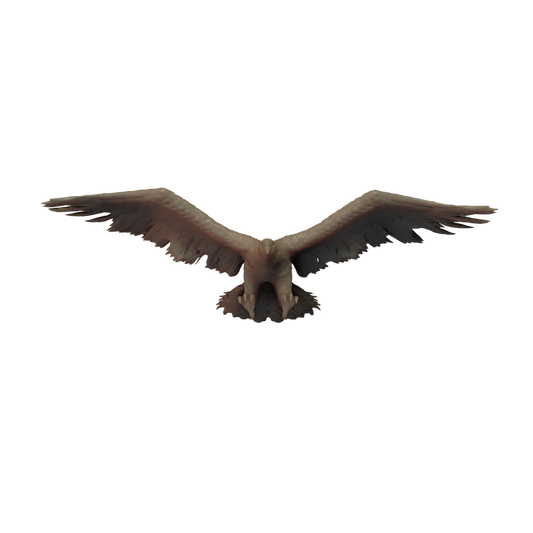 Giant Zombie Raven Flying