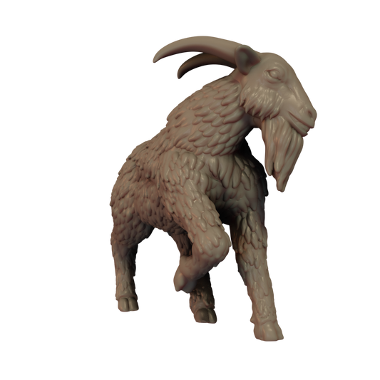 Goat Pose 1