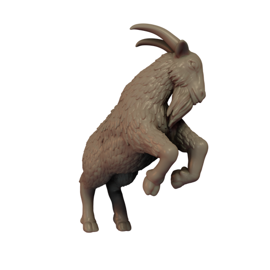 Goat Pose 2