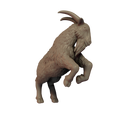 Goat Pose 2