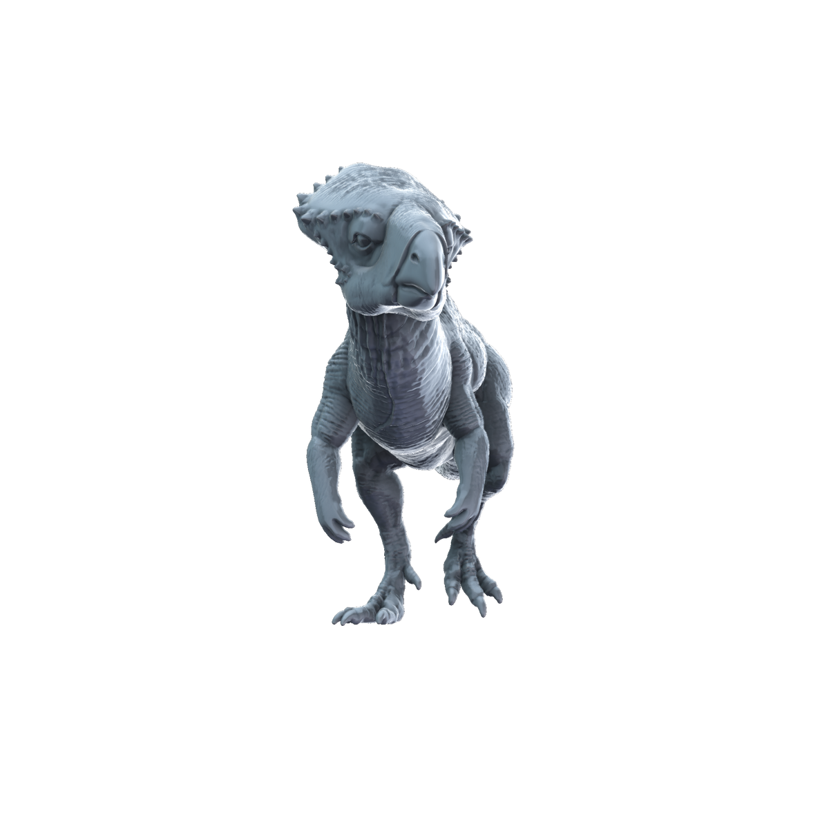 3D printed Graciliceratops front view