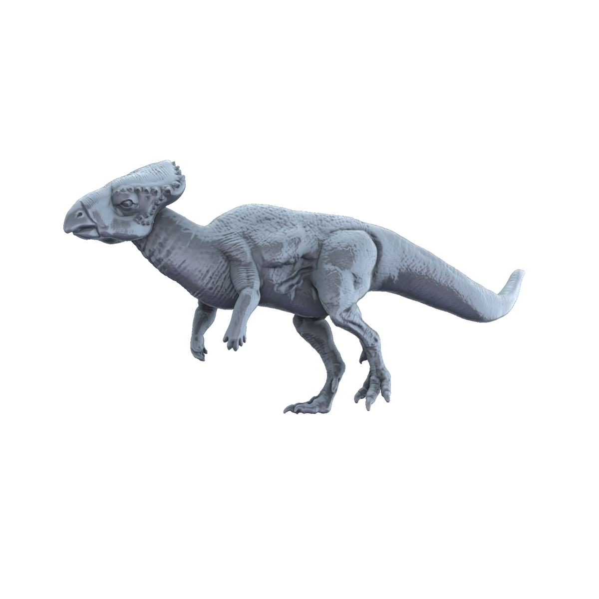 3D printed Graciliceratops side view