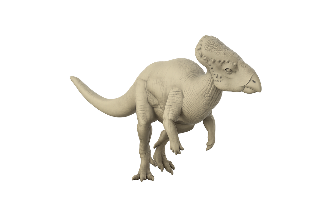 Graciliceratops 3D Print front view