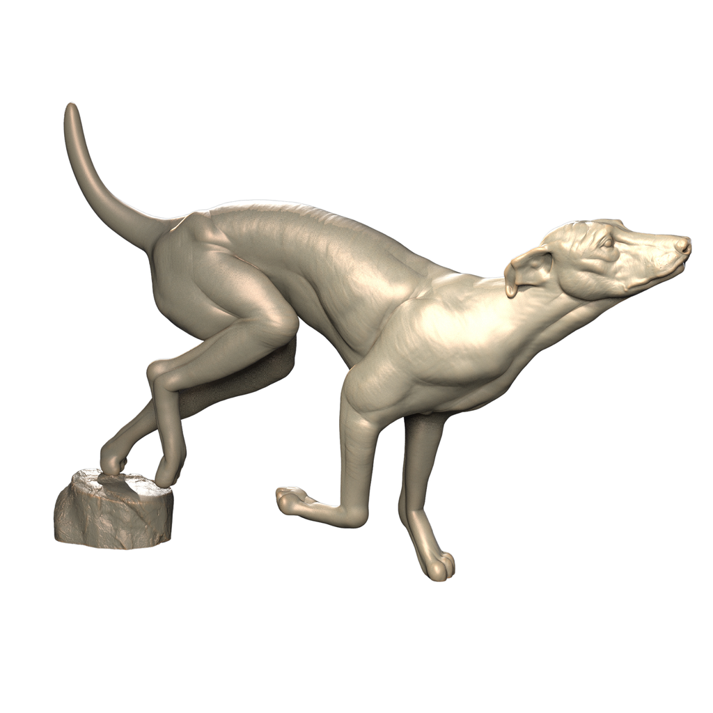 3d printed Greyhound side view
