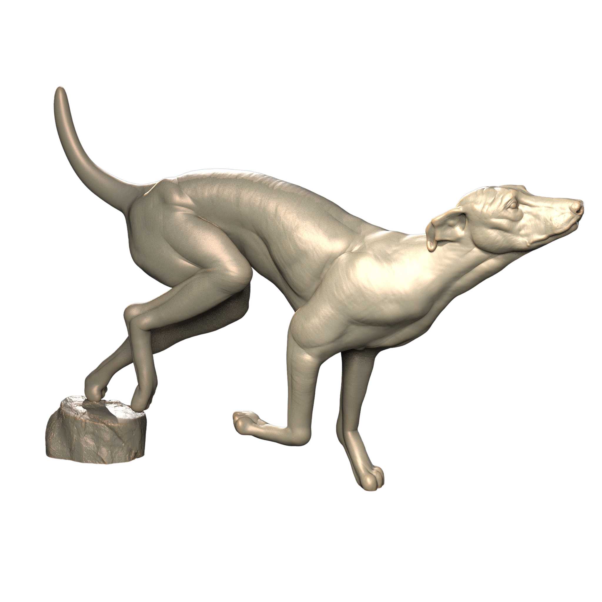 3d printed Greyhound side view