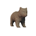 3D Render of Grizzly Bear cub on all fours miniature
