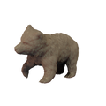3D Render of Grizzly Bear cub on all fours with one leg raised miniature
