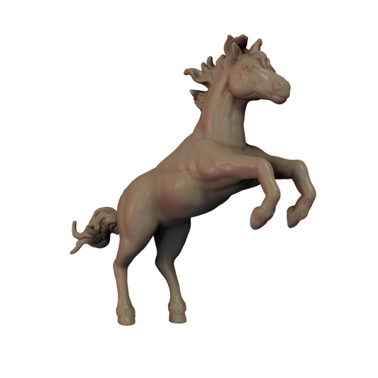 Horse Pose 4
