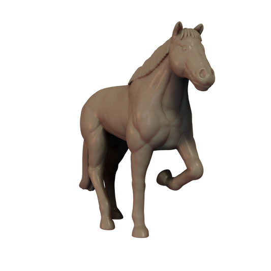 Horse Pose 5