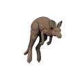 Kangaroo Pose 1