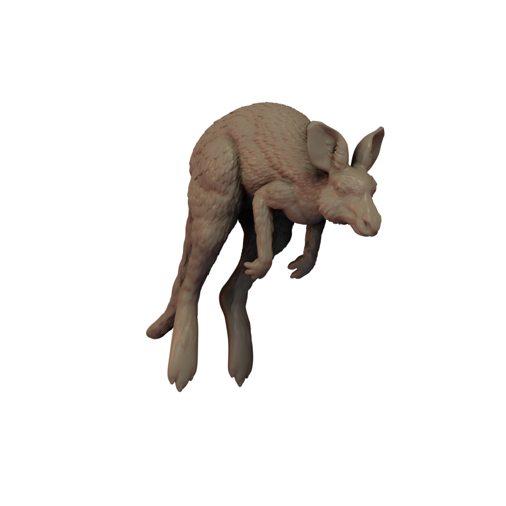 3D printed Kangeroo front view