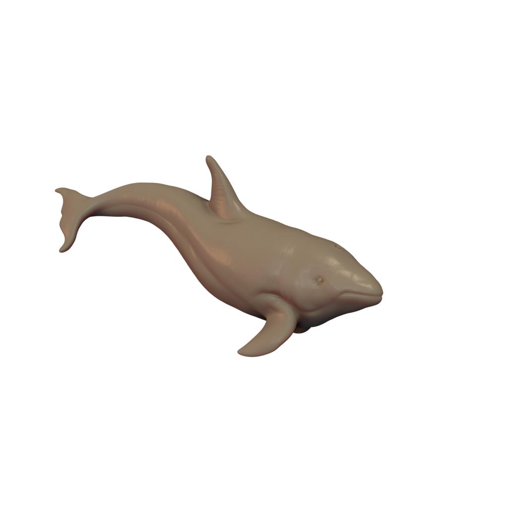 A 3D printed miniature of a killer whale (orca), supplied unpainted.