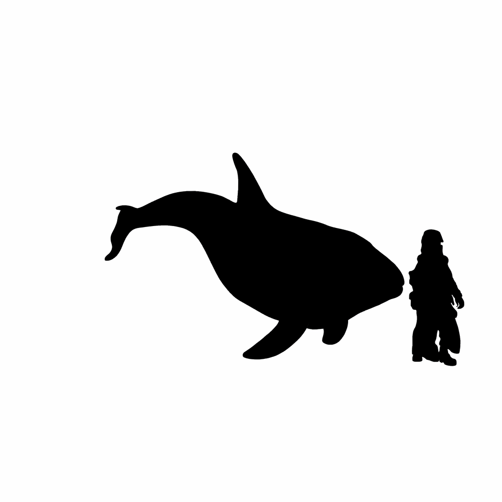 Killer Whale scale comparison to 28mm human miniature