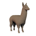 Llama Pose 1
