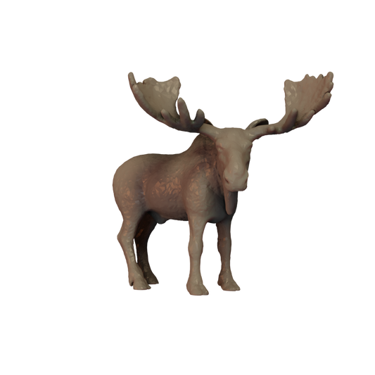 Moose Pose 2