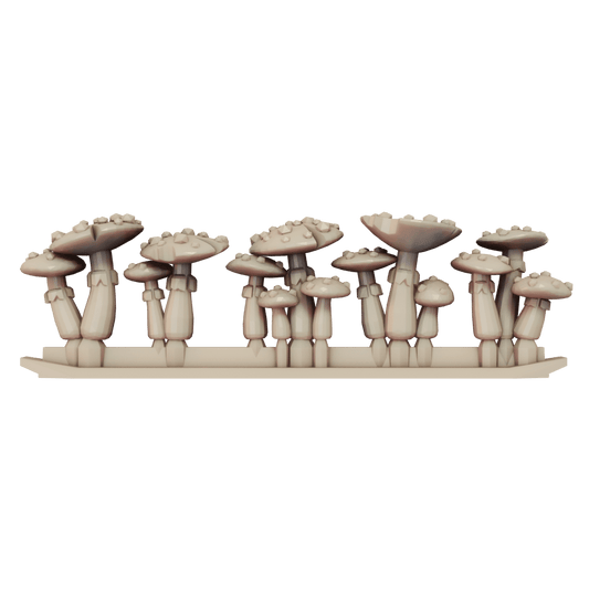 Mushroom Collection 2