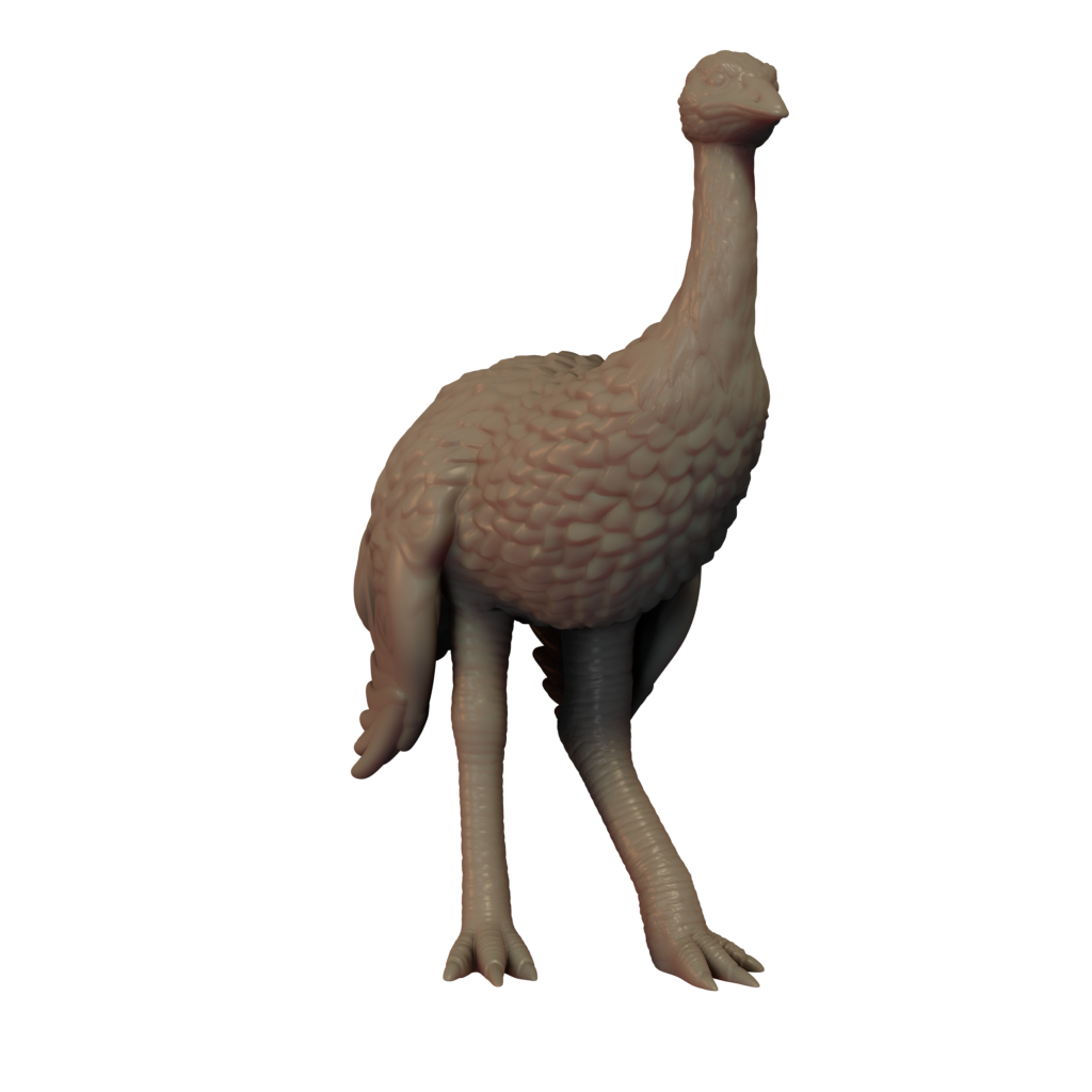 3D printed Ostrich front view
