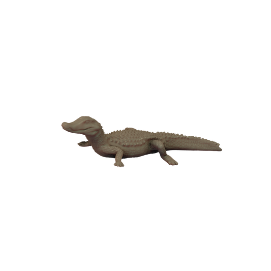 Paleosuchus Pose 1