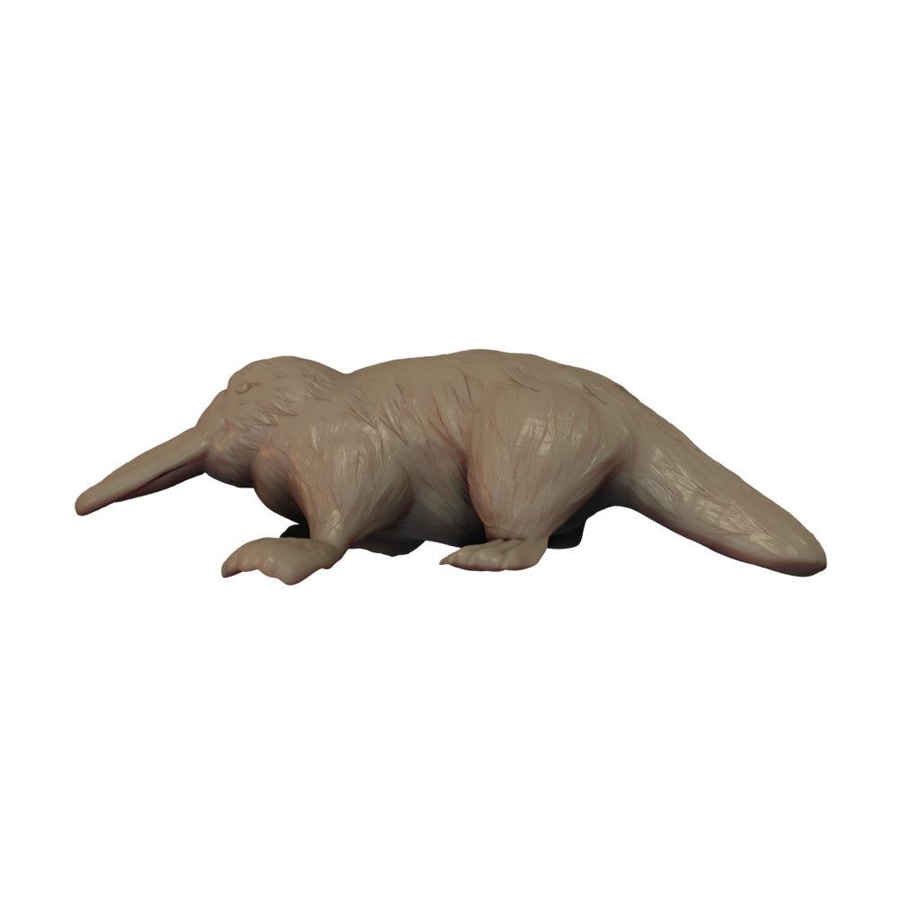 3D printed Platypus side view