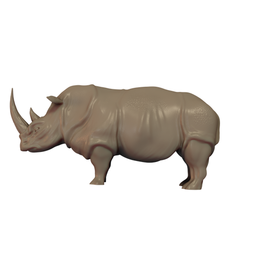 Rhinoceros Pose 3