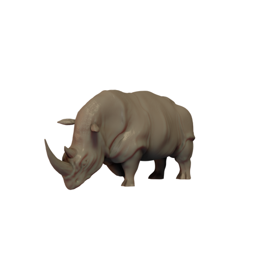 Rhinoceros Pose 4