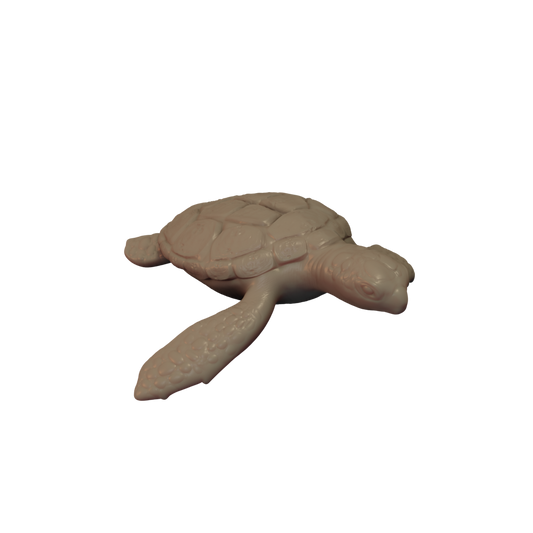 Sea Turtle Pose 1