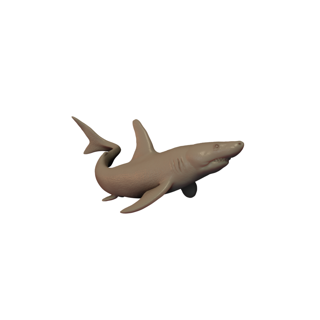 Shark Pose 1