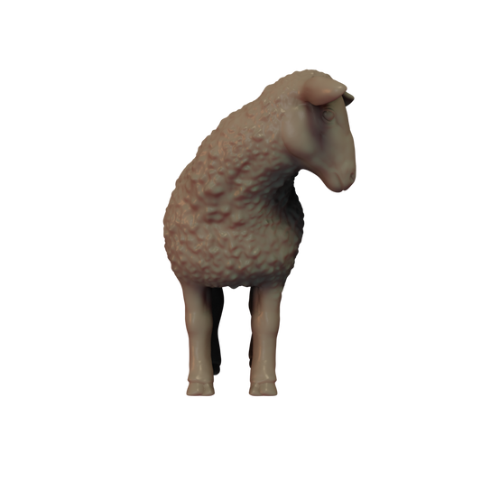 Sheep Pose 2