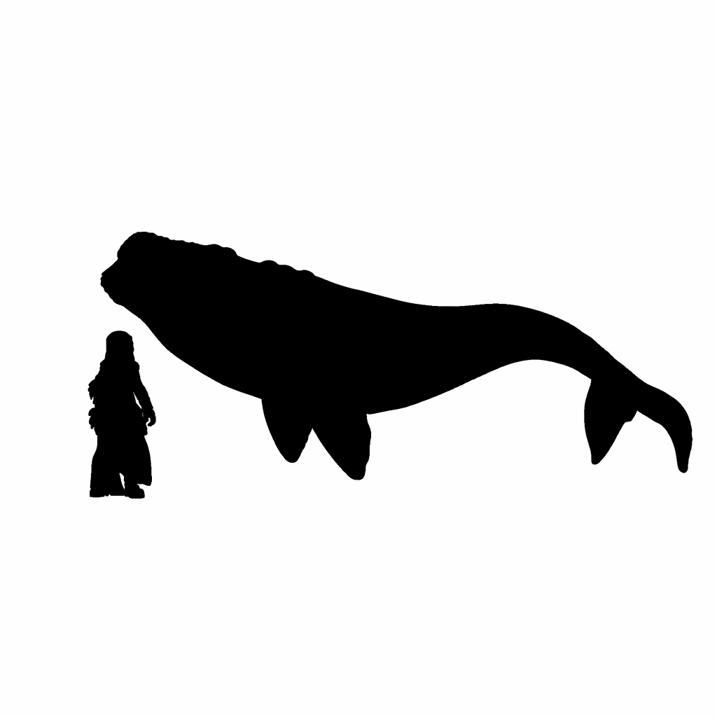 Southern right whale scale comparison to 28mm human miniature