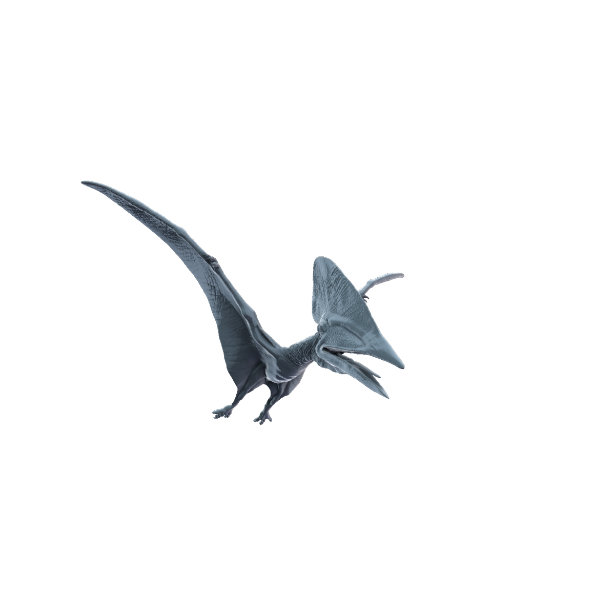 3D printed Thalassodromeus flying front view