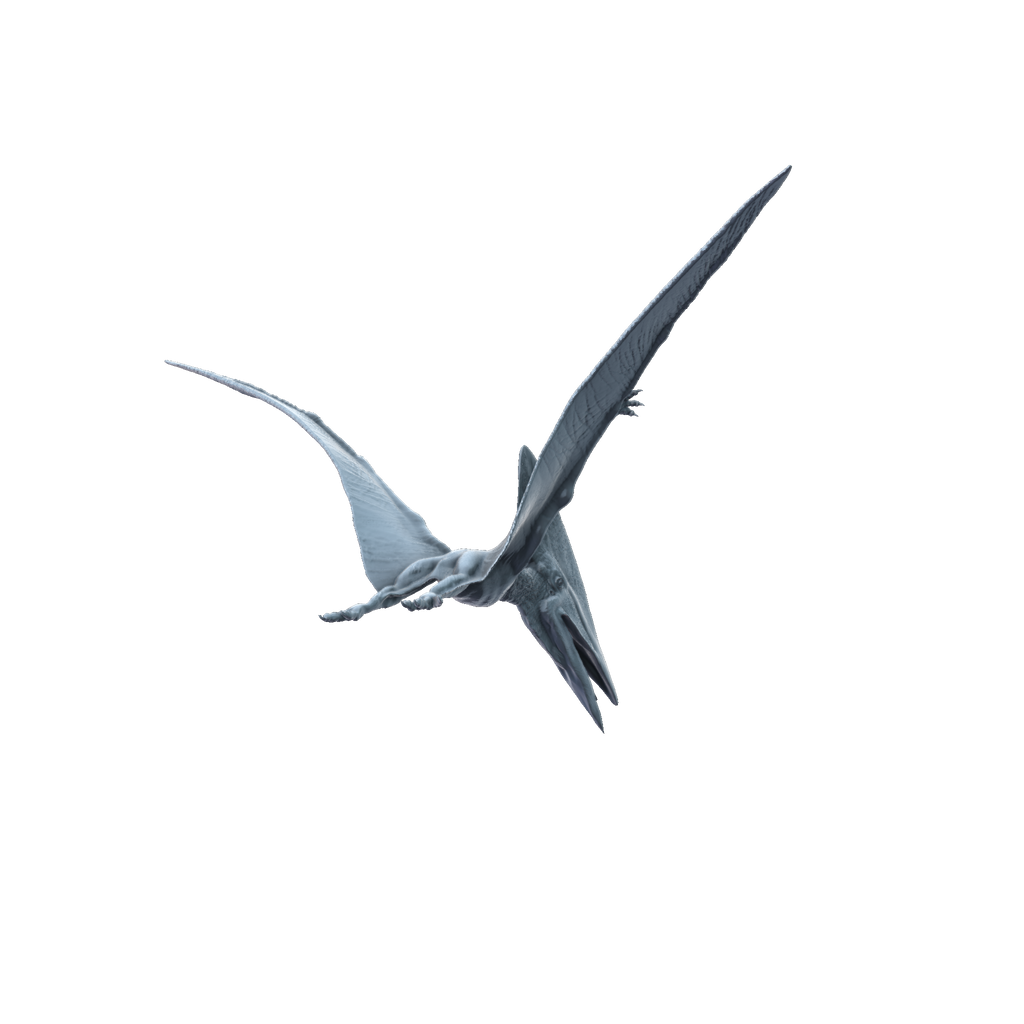 3D printed Thalassodromeus flying rear view