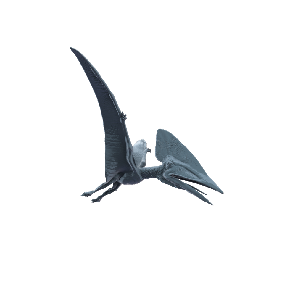 3D printed Thalassodromeus flying side view