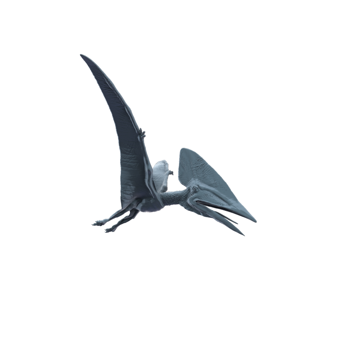 3D printed Thalassodromeus flying side view