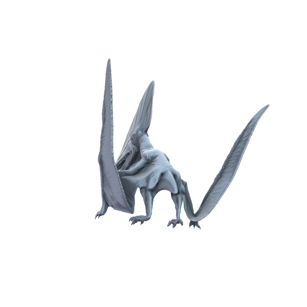 3D printed Thalassodromeus landed rear view