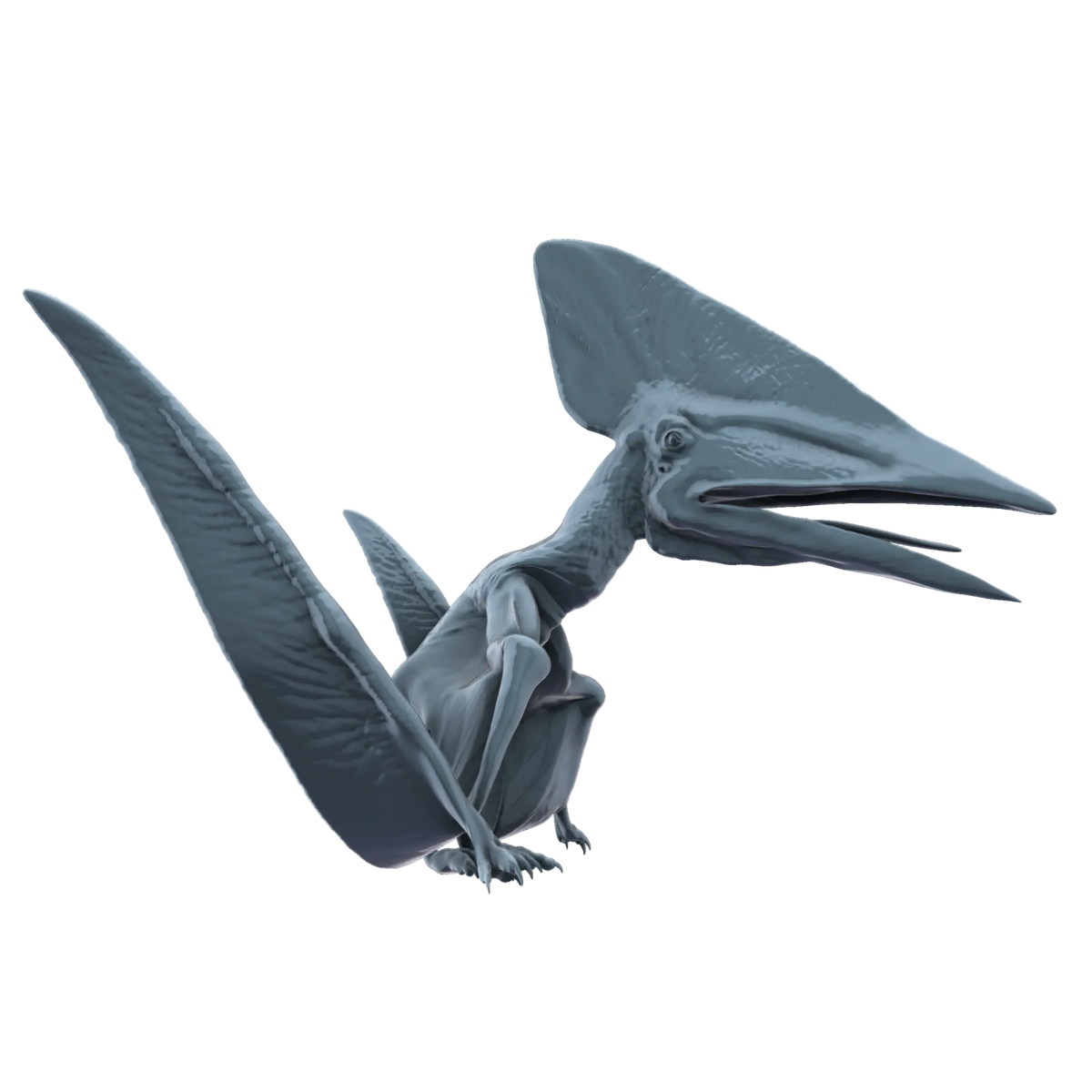 3D printed Thalassodromeus landed side view