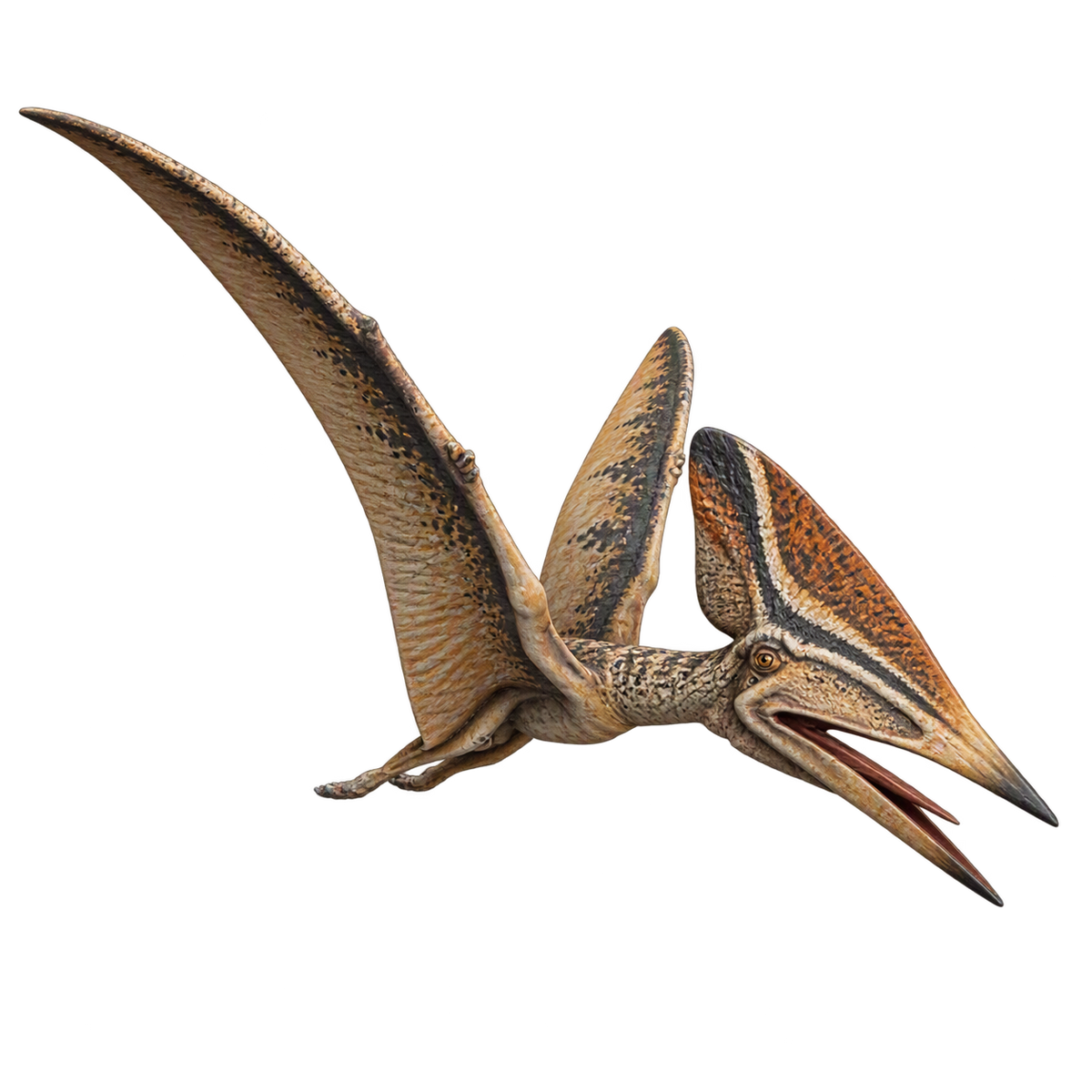 Thalassodromeus flying – 28mm Miniature